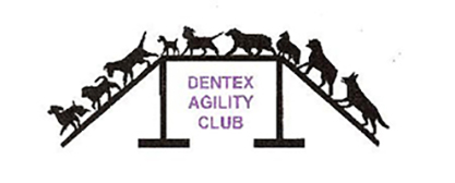 DenTex Logo-LARGE